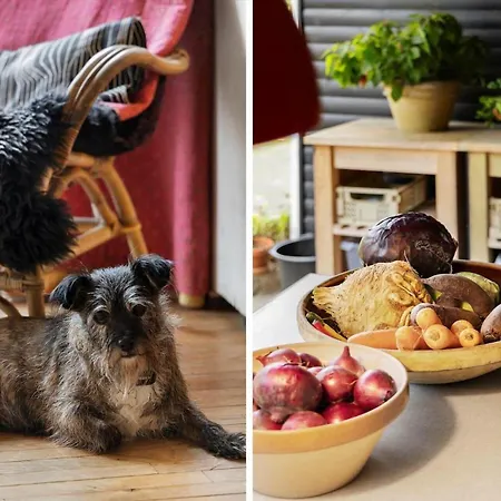 8965-allingabro-hasselvej-3 * Skovsgarde