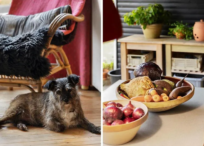 8965-allingabro-hasselvej-3 * Skovsgarde